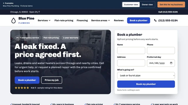 Homepage of the Blue Pine Plumbing demo site